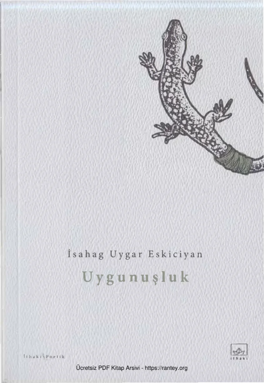 Eskiciyan Uygunuşluk kapak görseli