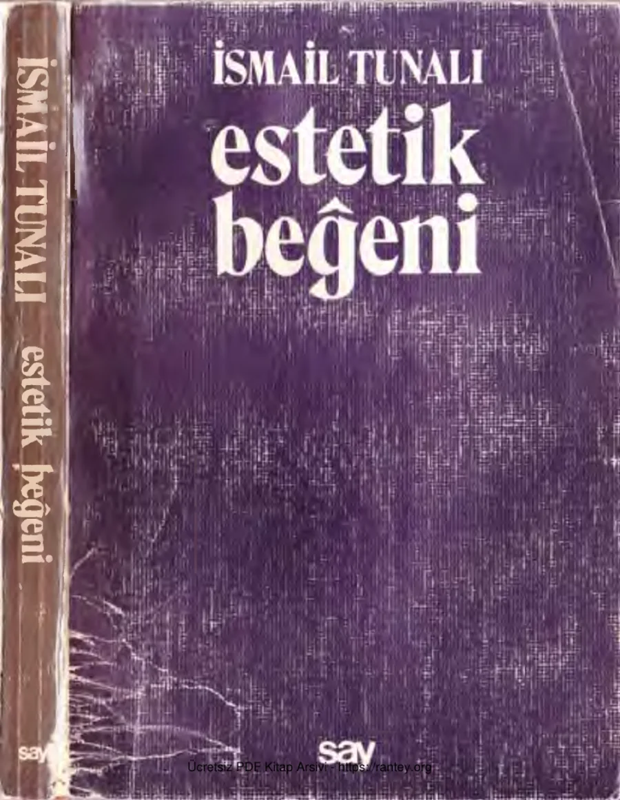 Estetik Beğeni Say Yayınları kapak görseli