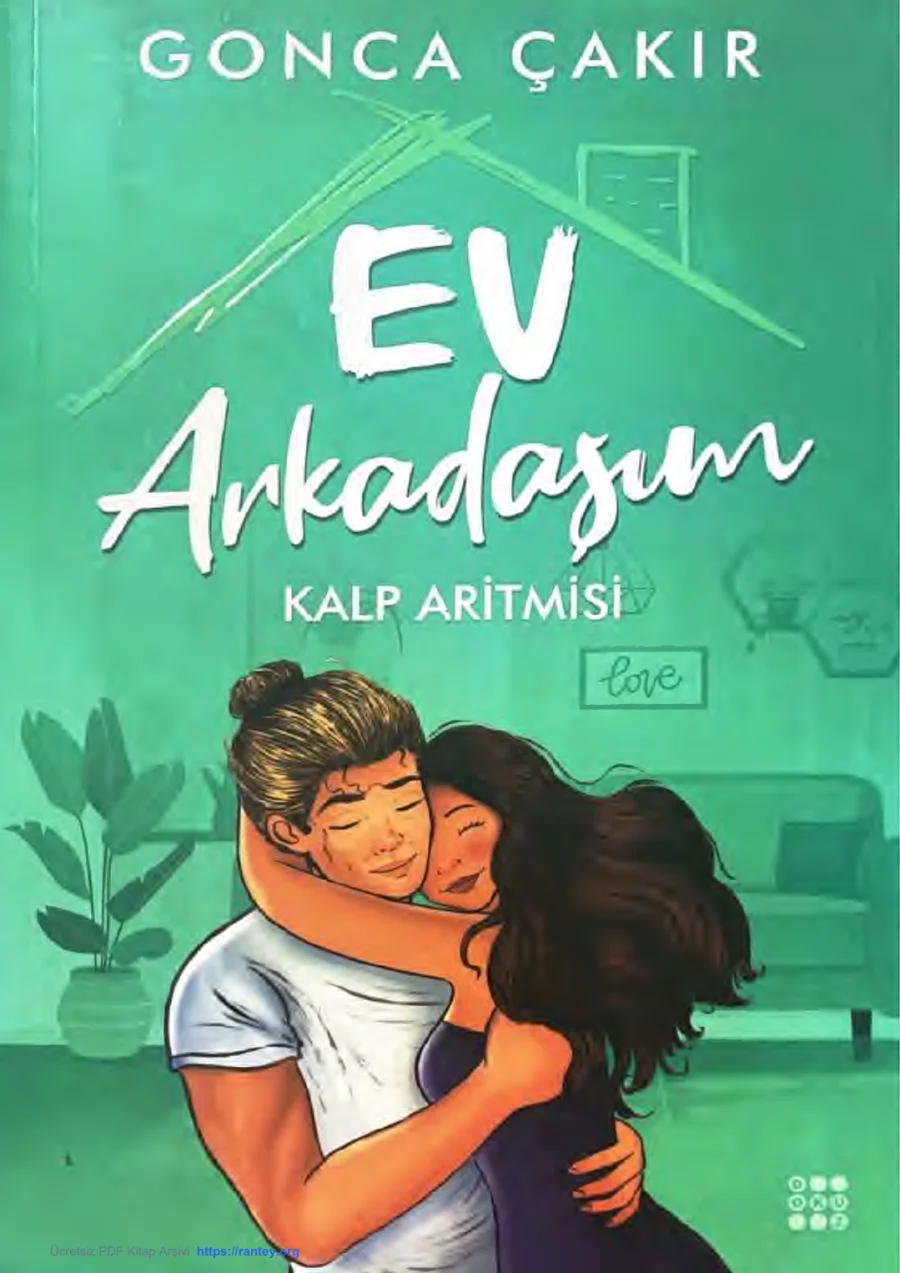 Ev Arkadaşım 3: Kalp Aritmisi kapak görseli