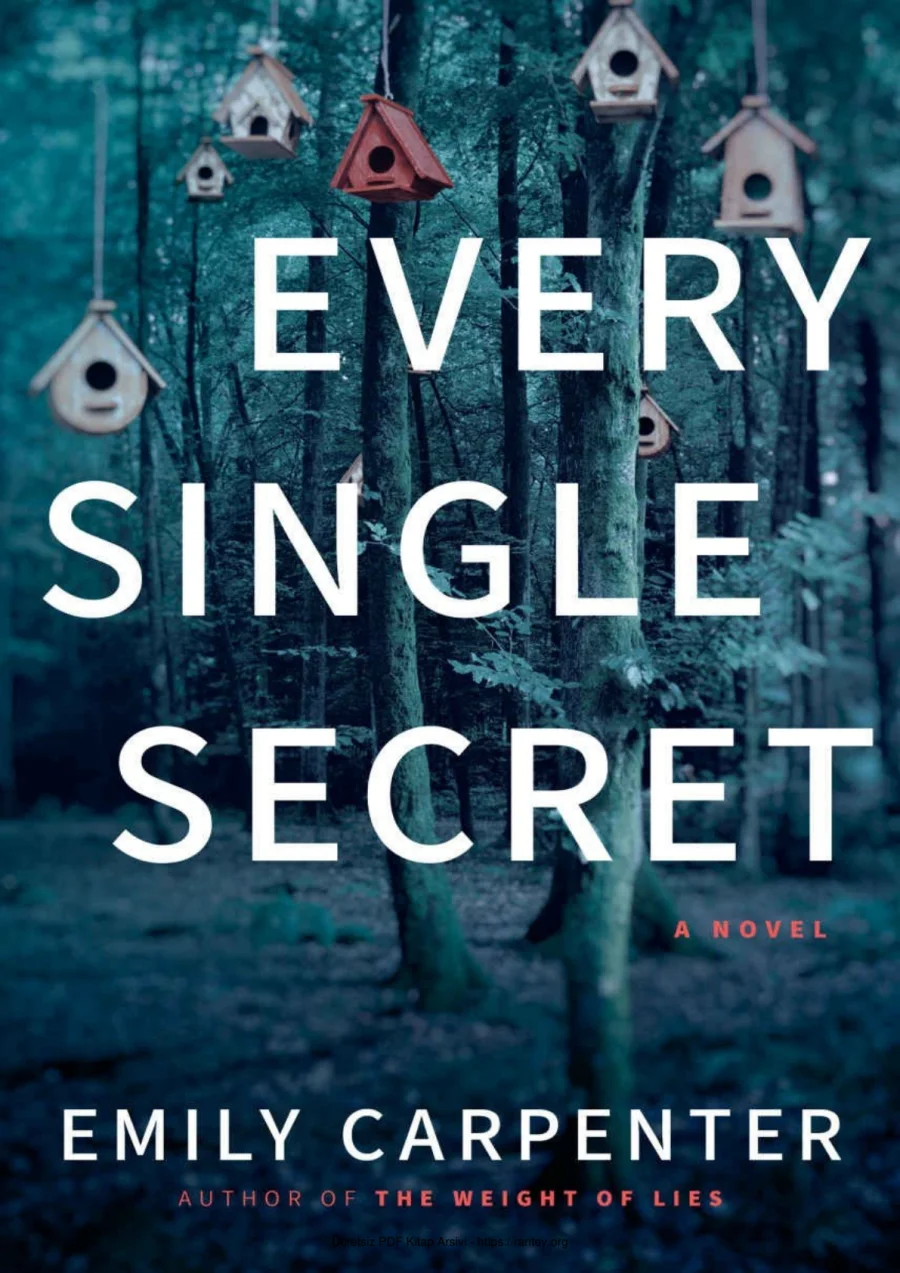Every Single Secret kapak görseli