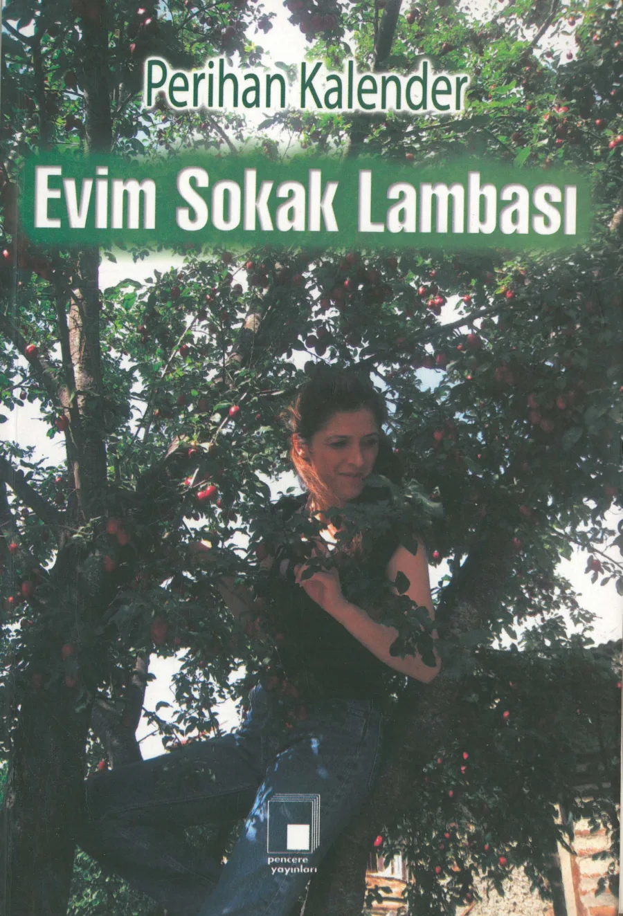 Evim Sokak Lambası kapak görseli