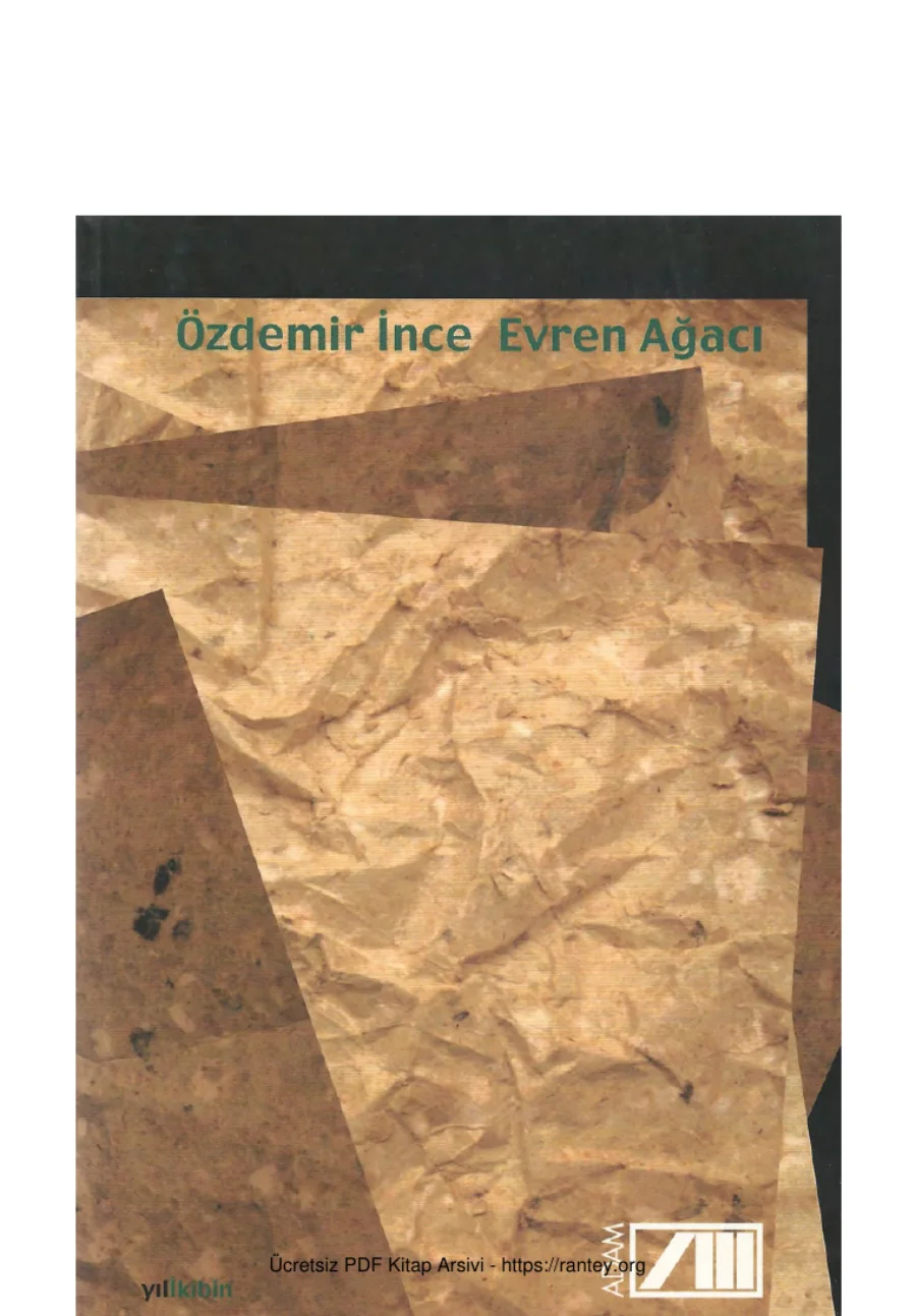 Evren Ağacı kapak görseli