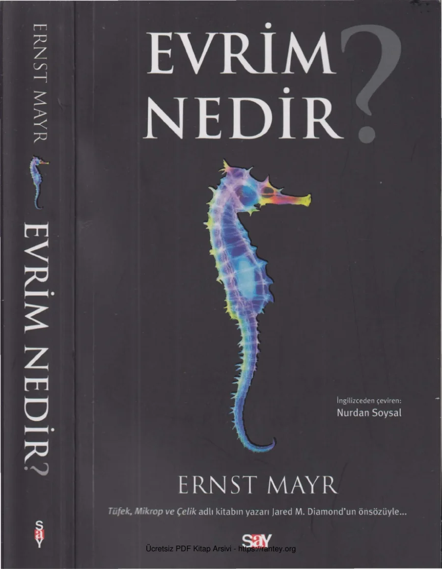 Evrim Nedir? kapak görseli