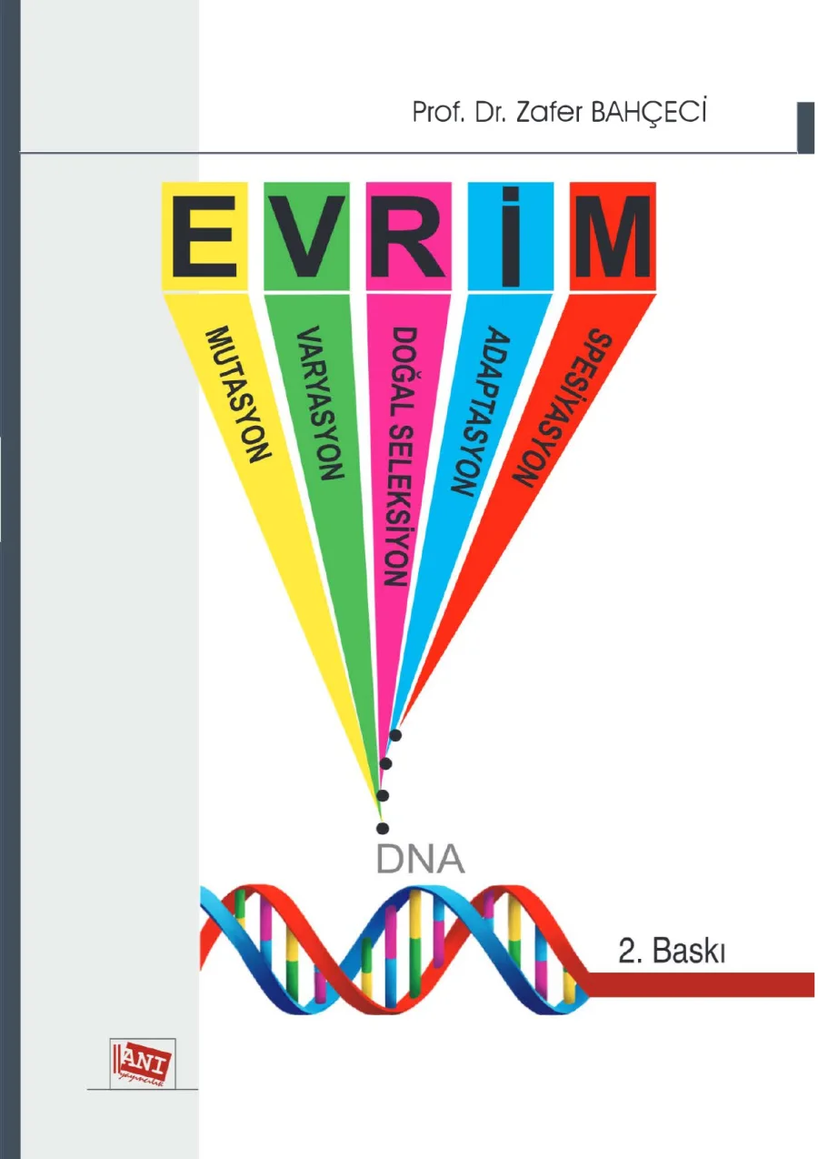 Evrim kapak görseli