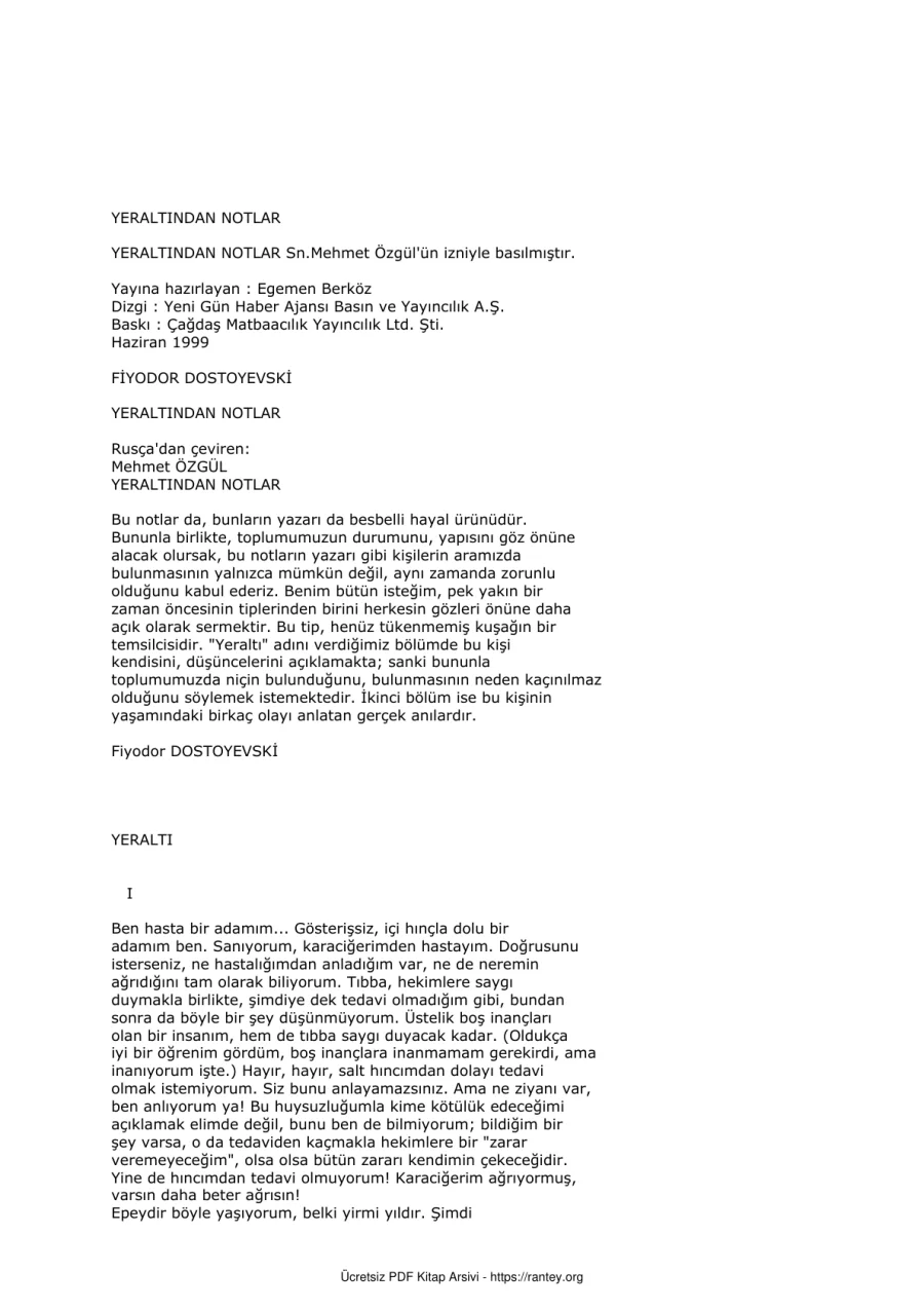F M Dostoyevski Yeraltindan Notlar kapak görseli