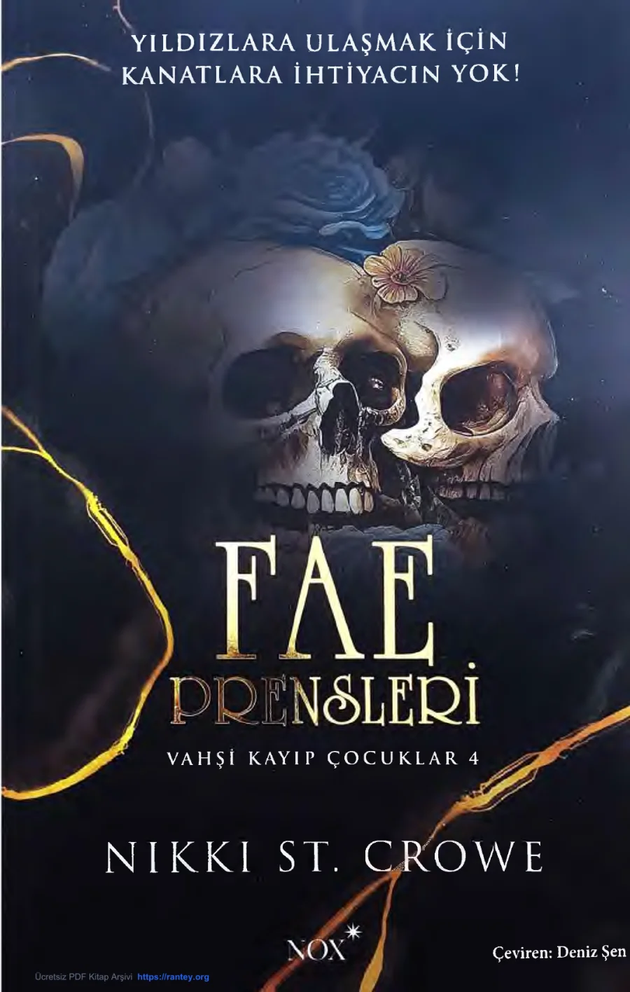 Fae Prensleri kapak görseli