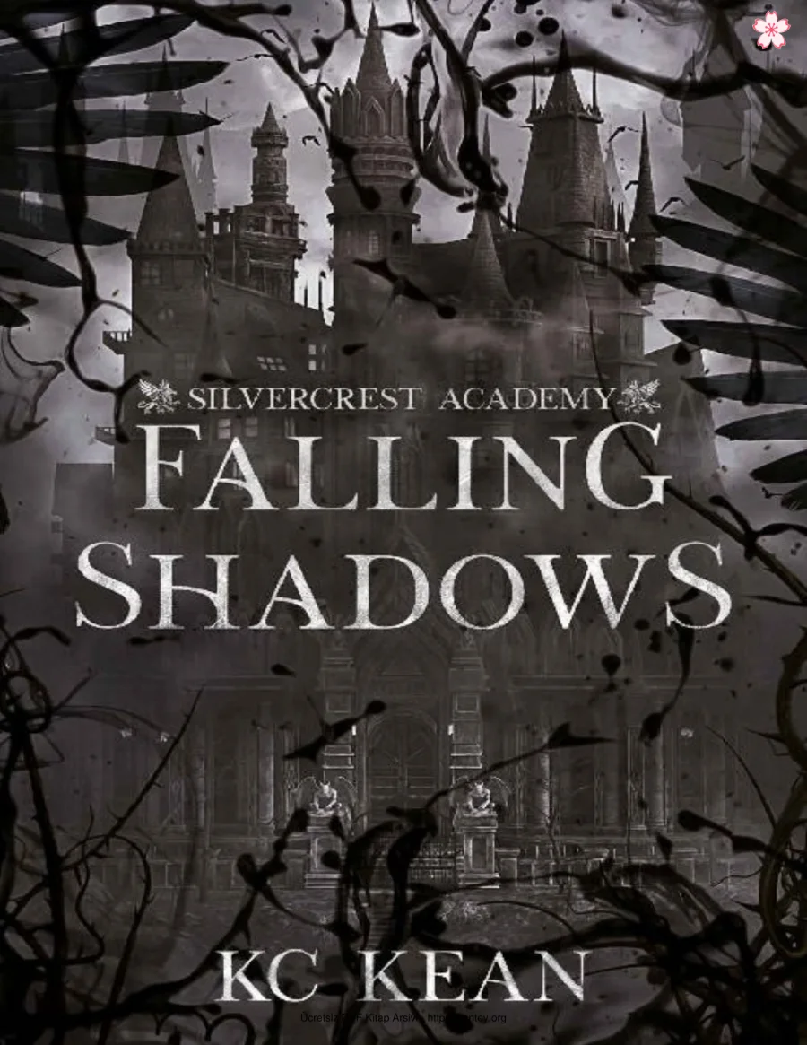 Falling Shadows kapak görseli