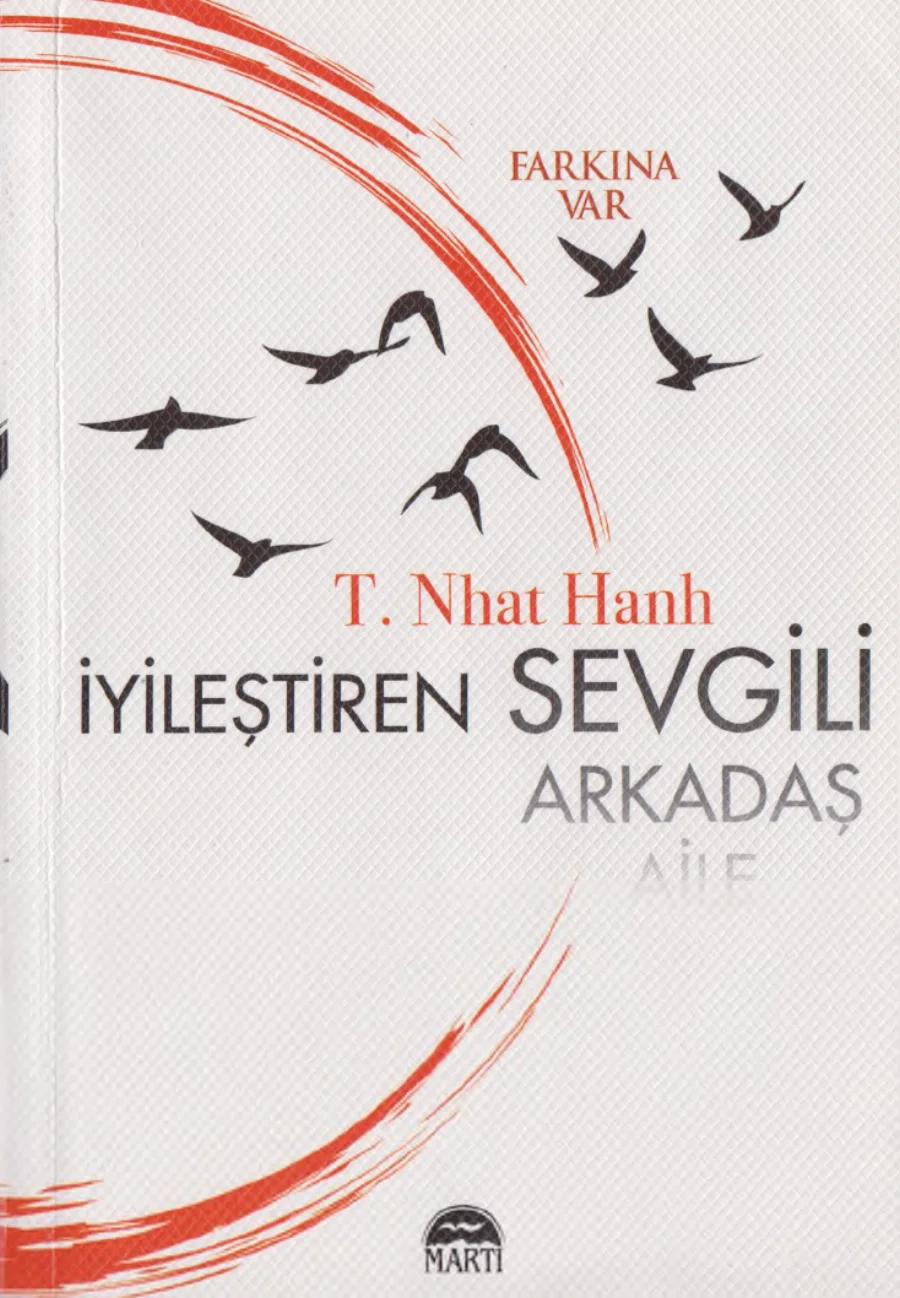 Farkına Var: İyileştiren Sevgili PDF kapak görseli