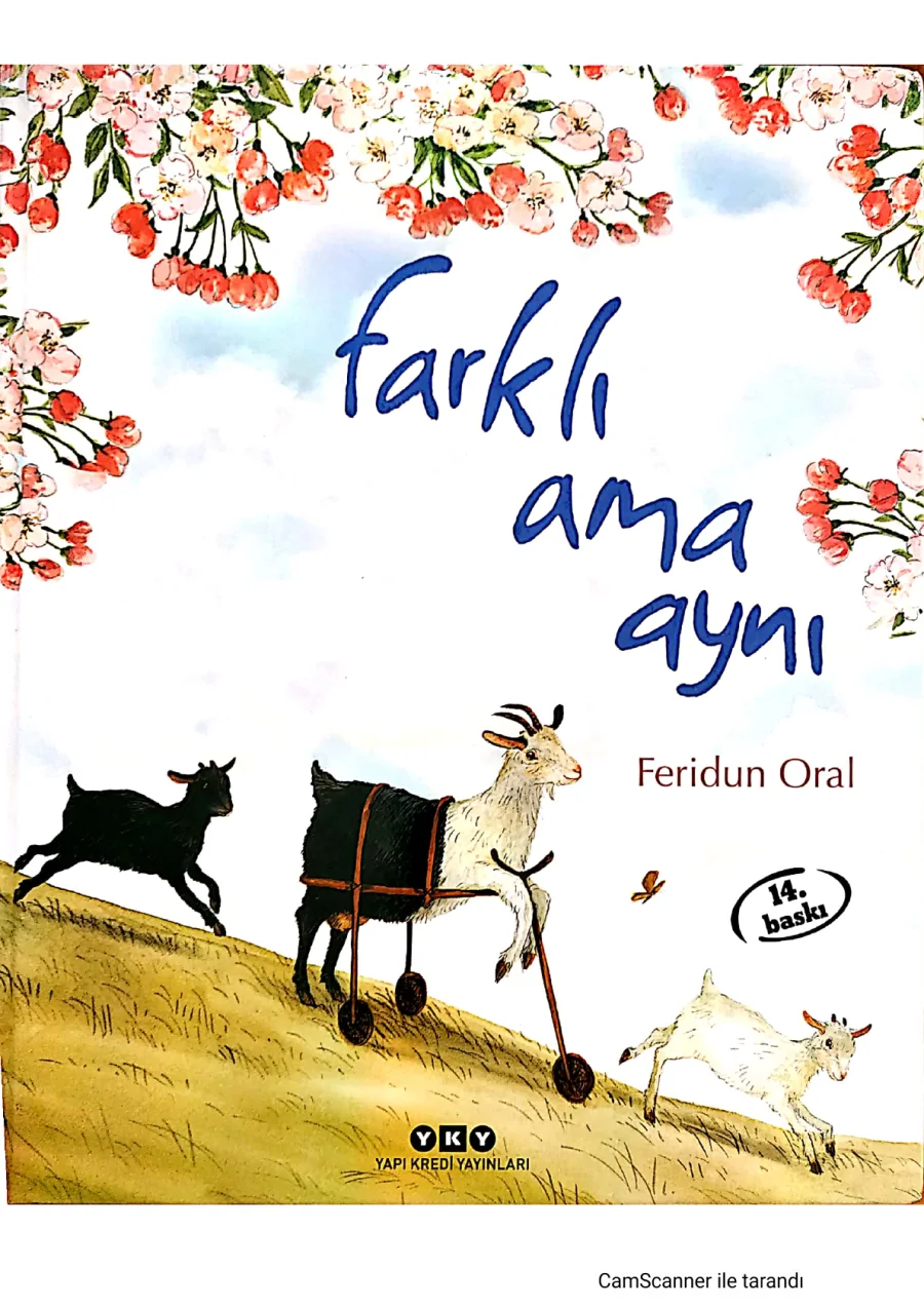 Farklı Ama Aynı PDF kapak görseli