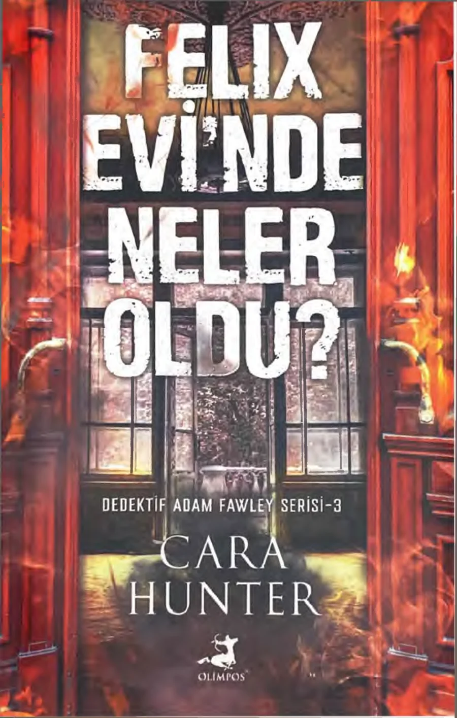 Felix Evi'nde Neler Oldu? kapak görseli