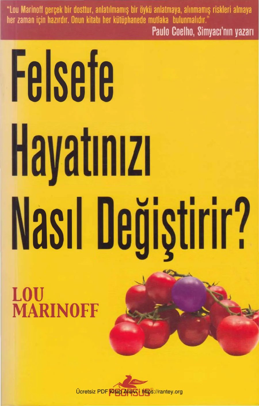 Felsefe Hayatınızı Nasıl Değiştirir kapak görseli