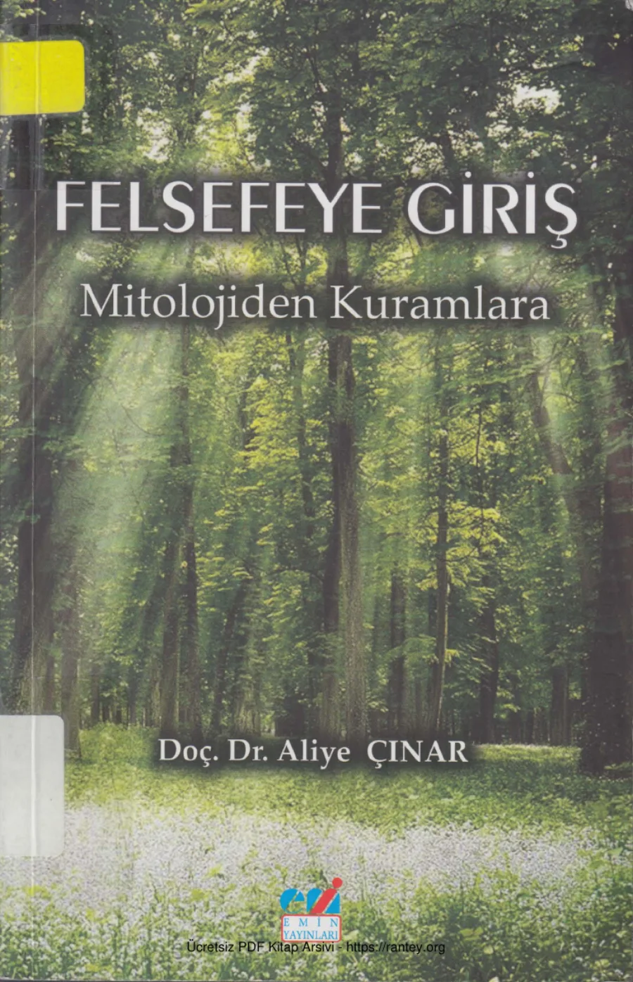 Felsefeye Giriş kapak görseli