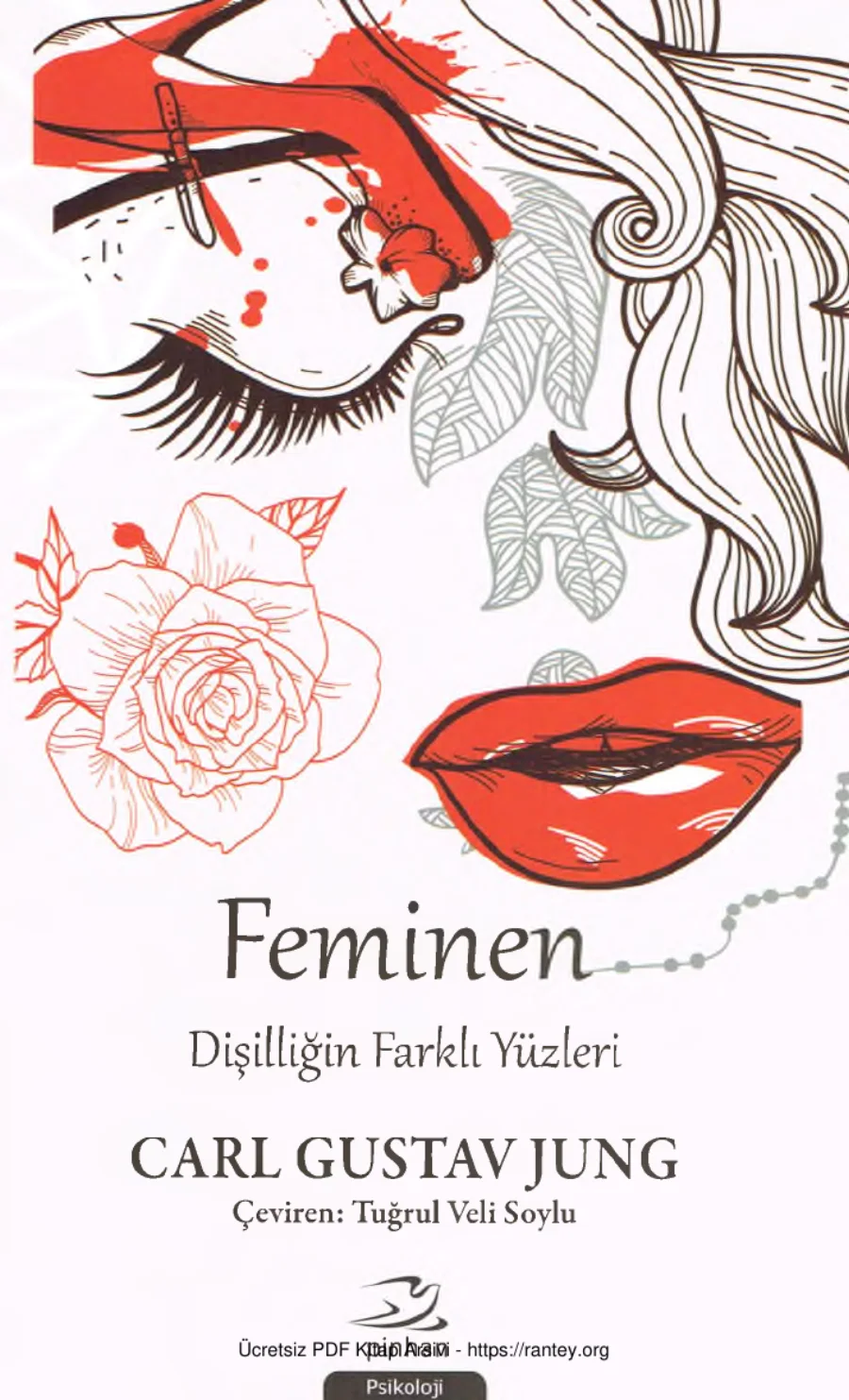 Feminen Dişilliğin Farklı Yüzleri kapak görseli
