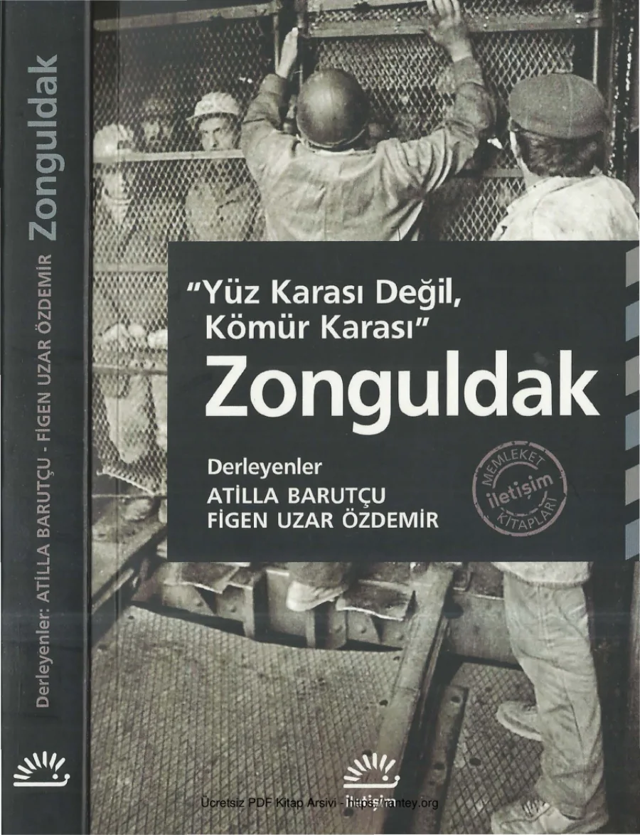 Figen Uzar Özdemir Yüz Karası Değil Kömür Karası kapak görseli