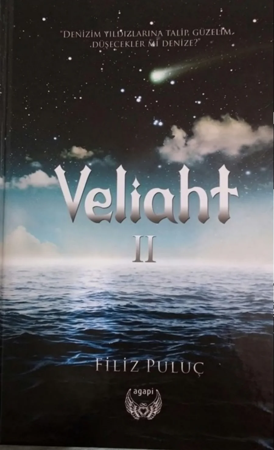 Filiz Puluç Veliaht 2 kapak görseli