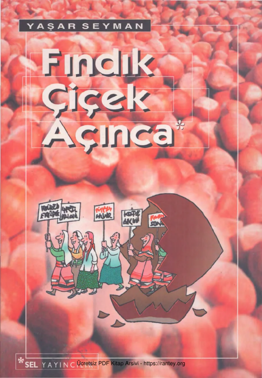 Fındık Çiçek Açınca kapak görseli