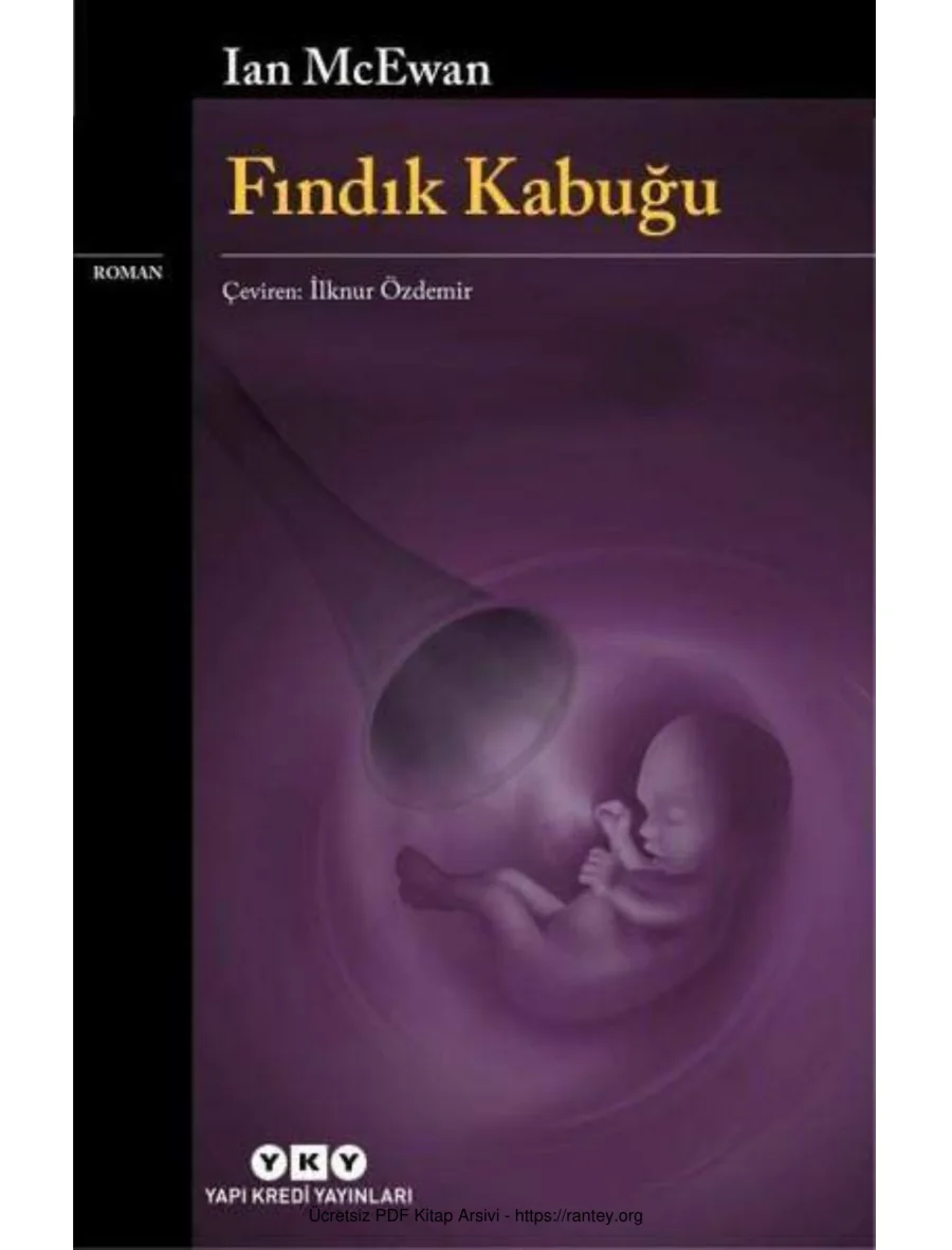 Fındık Kabuğu 2 kapak görseli