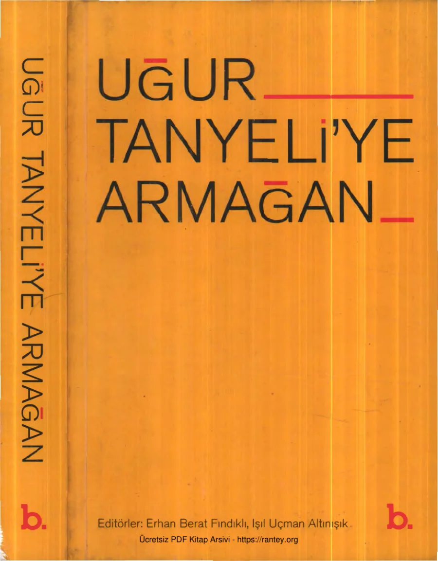Fındıklı Işıl Uçman Altınışık Uğur Tanyeliye Armağan B Yayınları kapak görseli