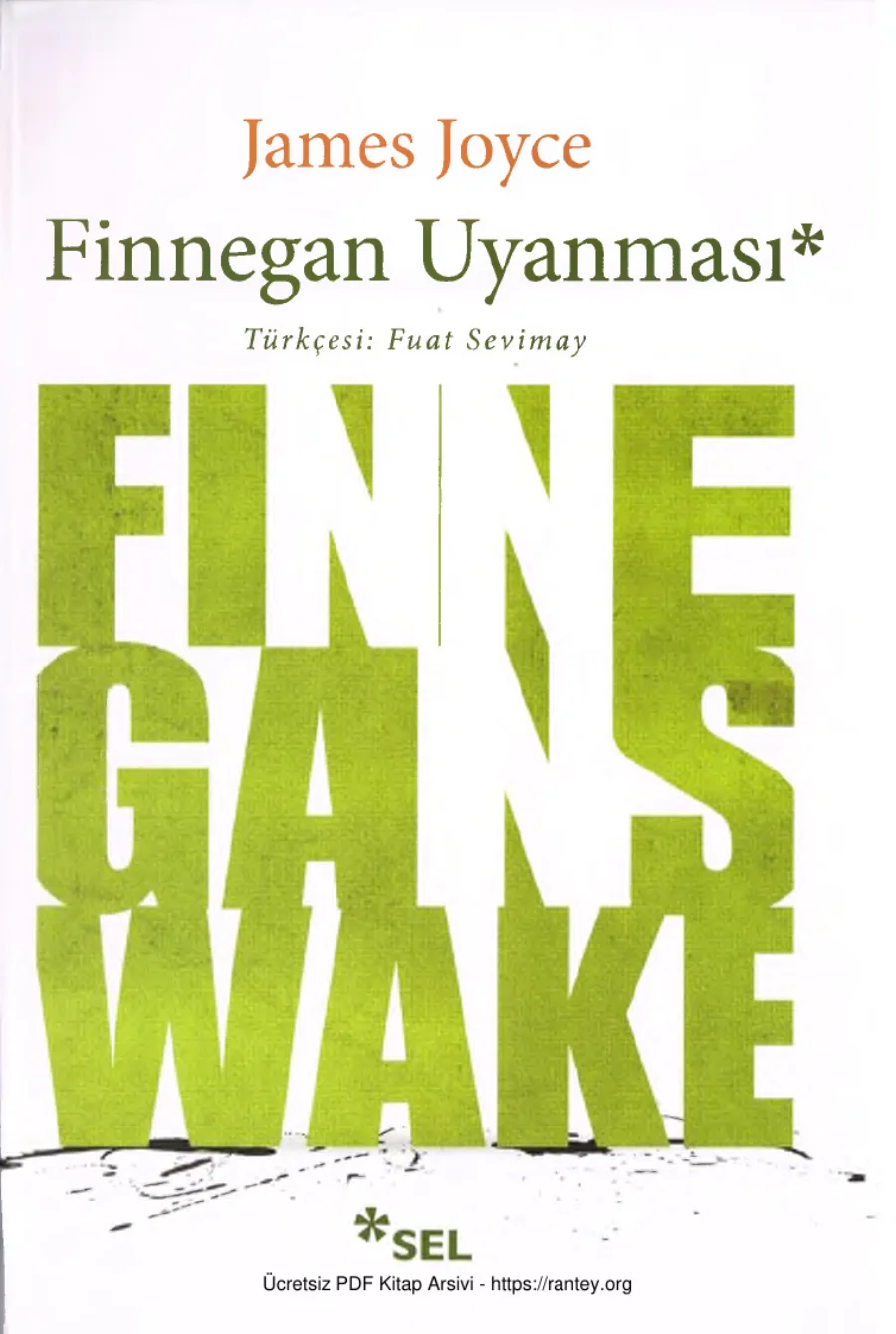 Finnegan Uyanması kapak görseli