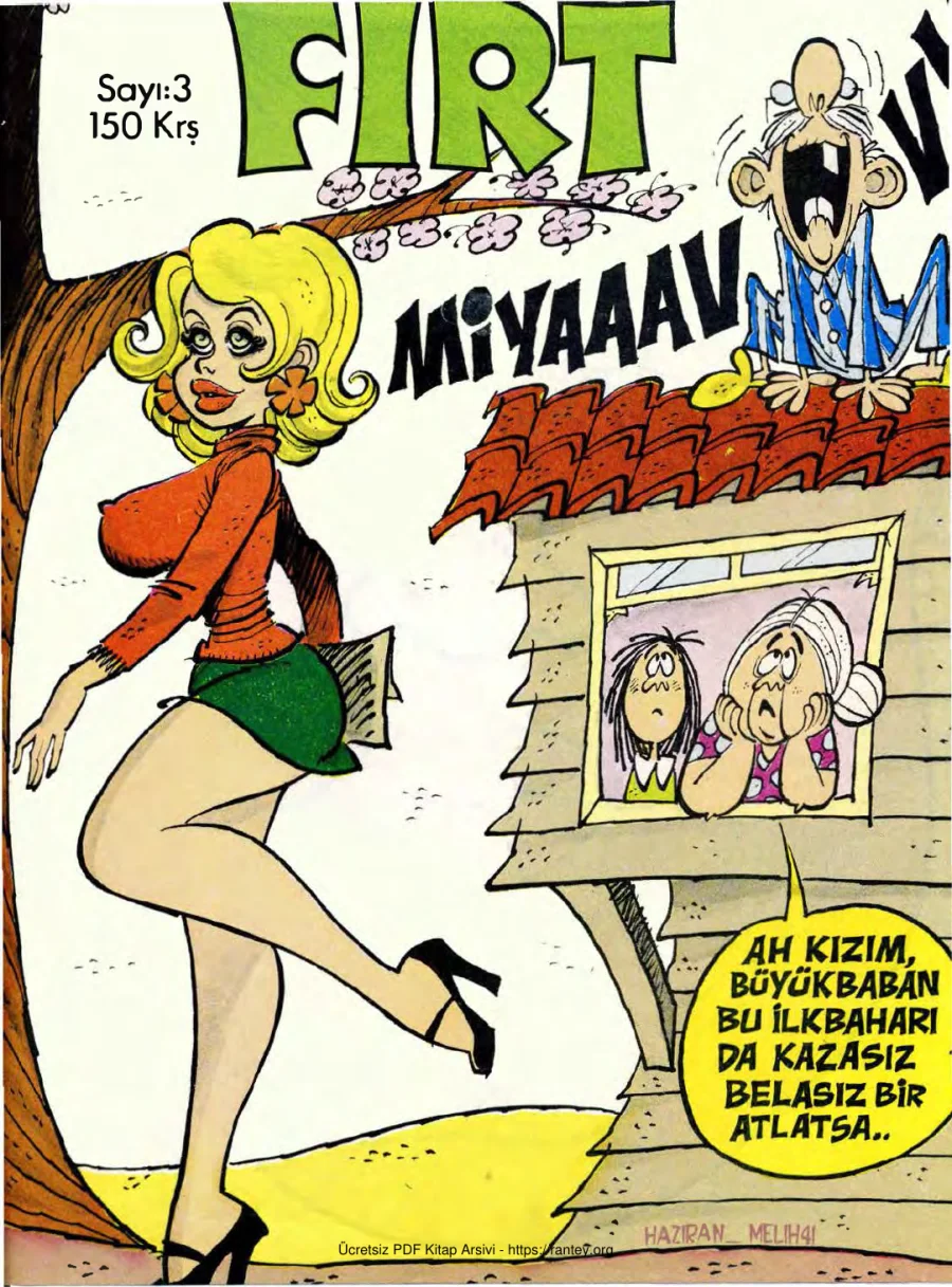Fırt 1976 Sayı 003 kapak görseli