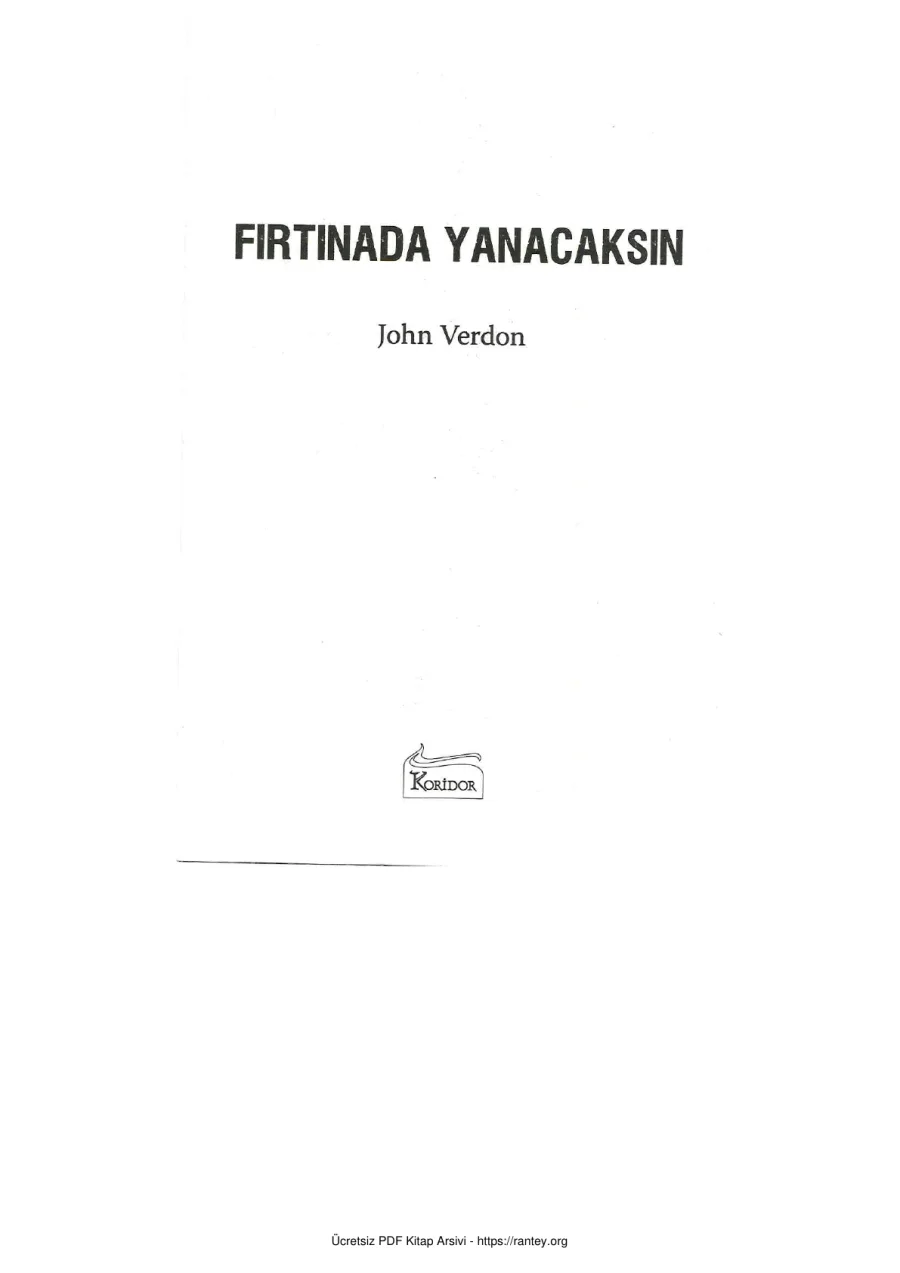 Fırtınada Yanacaksın kapak görseli