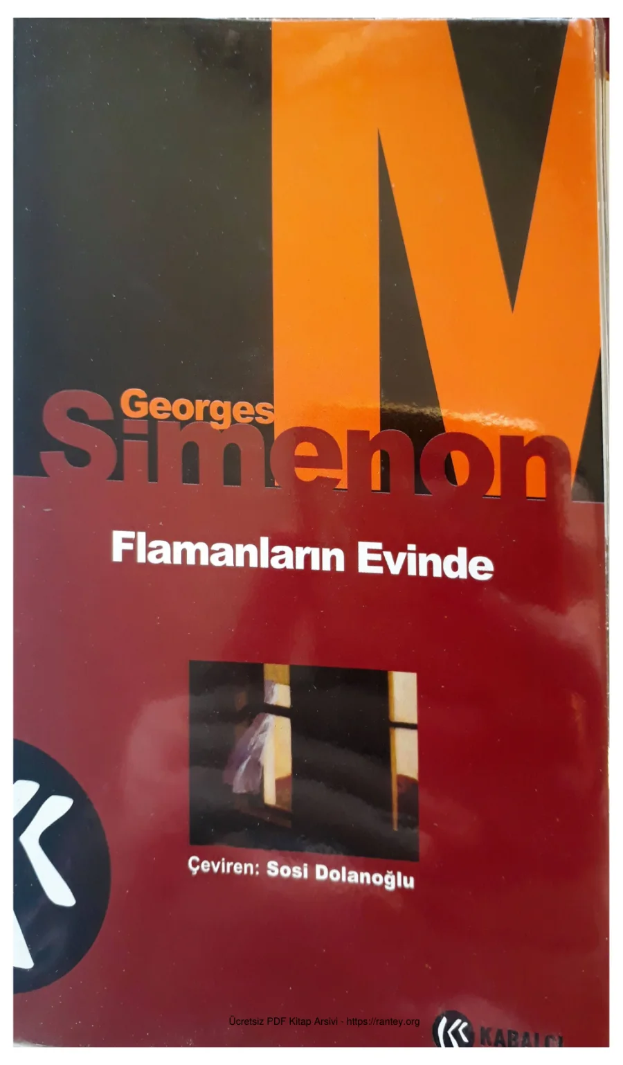 Flamanların Evinde kapak görseli