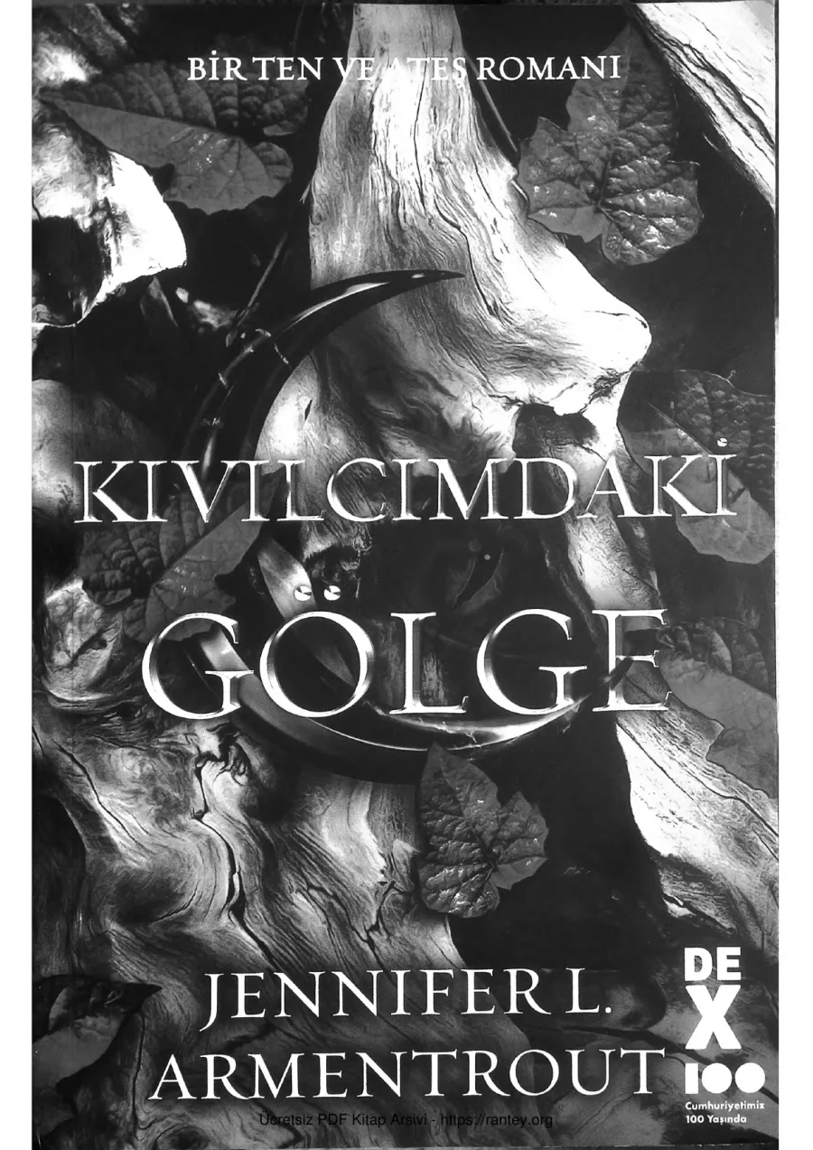 Flesh and Fire 1 Kıvılcımdaki Golge kapak görseli