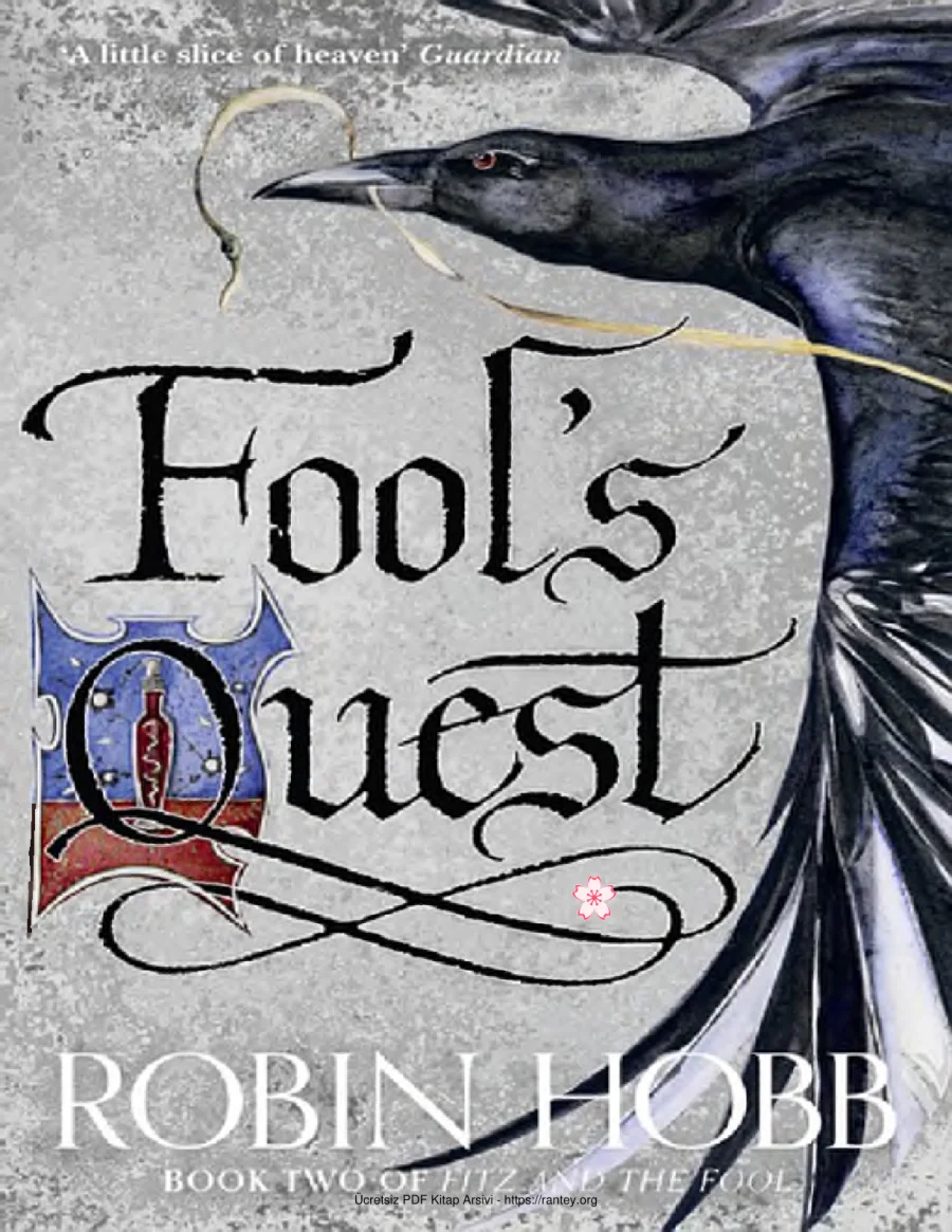 Fools Quest kapak görseli