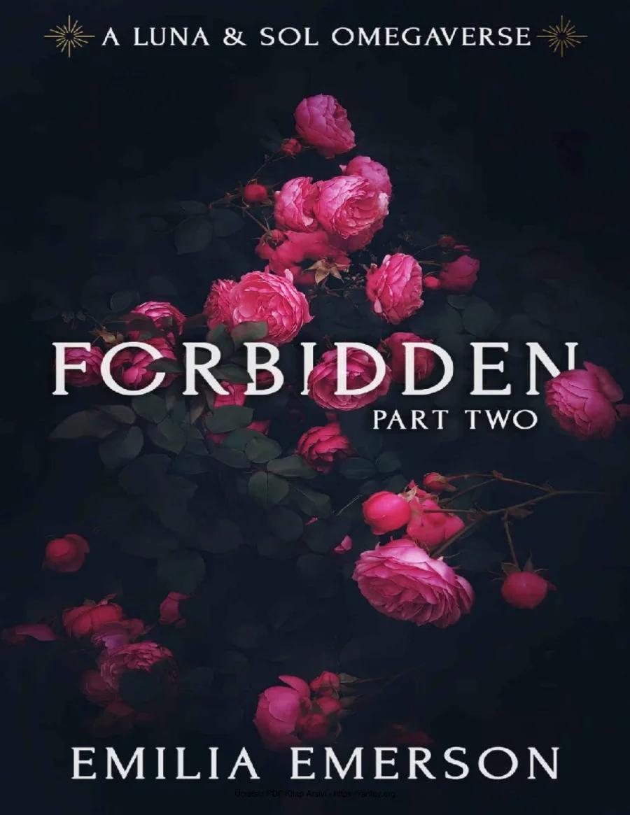 Forbidden Part Two kapak görseli