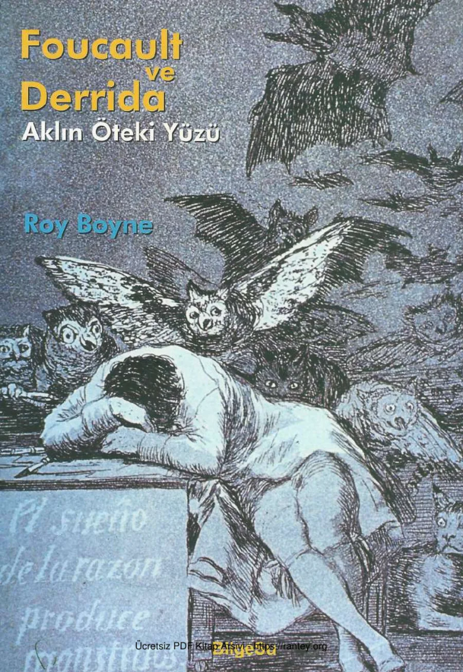 Foucault ve Derrida Aklın Öteki Yüzü kapak görseli
