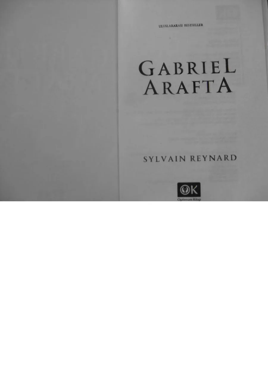 Gabriel Arafta kapak görseli