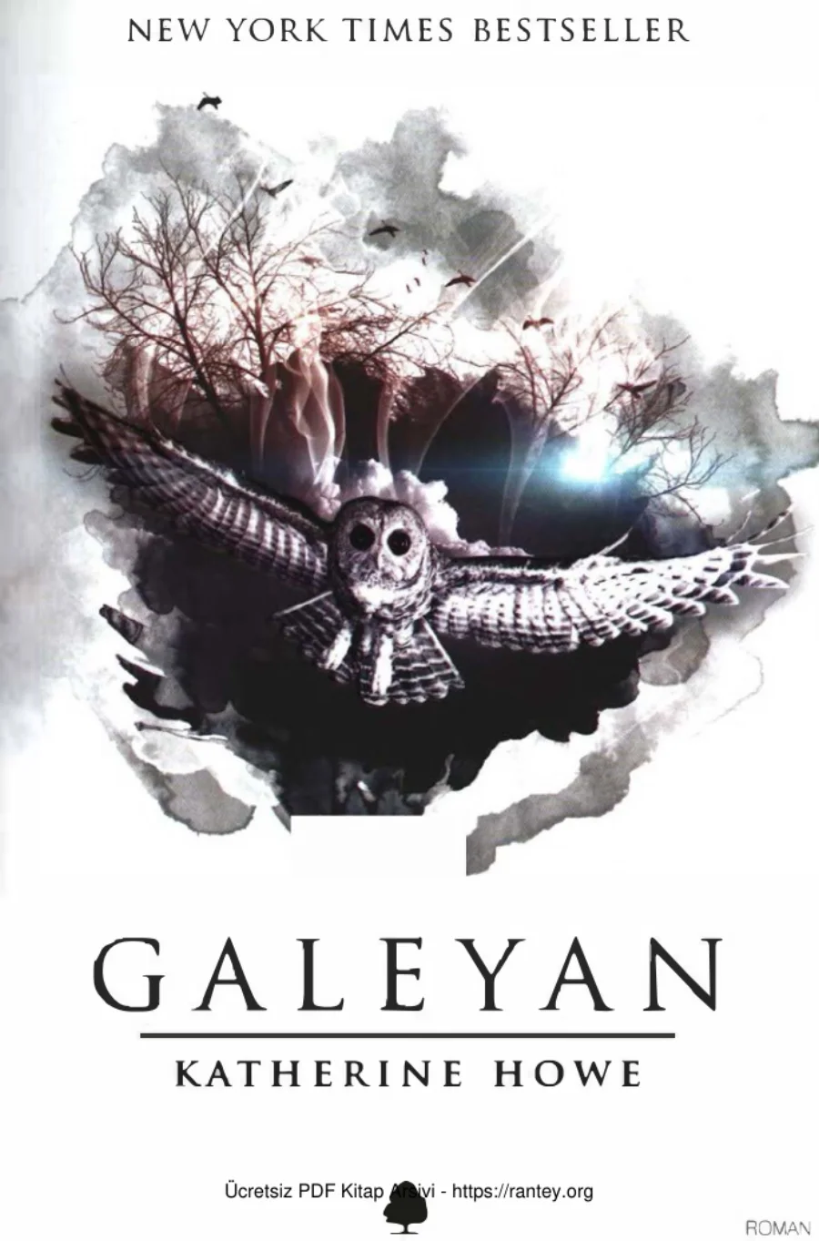 Galeyan kapak görseli
