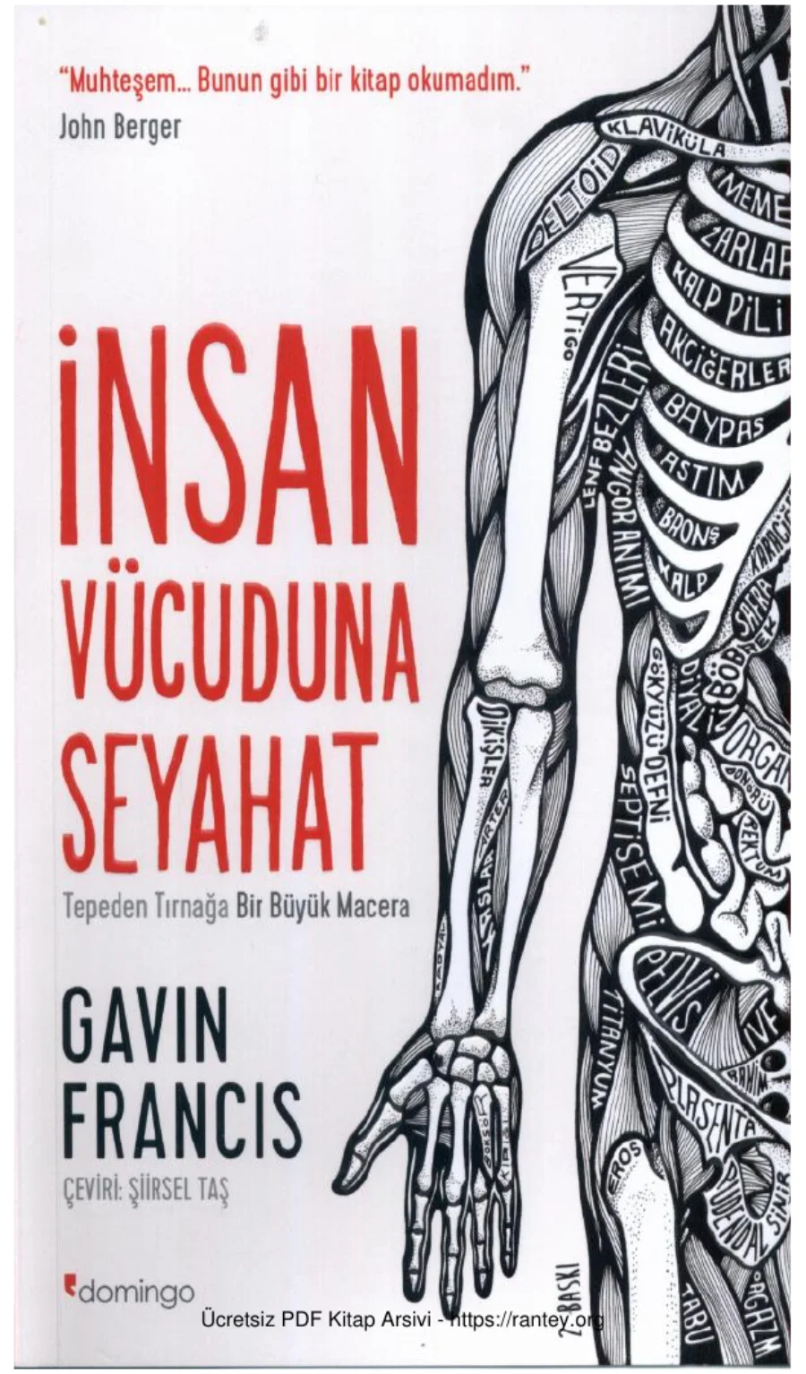 Gavin Francis İnsan Vücuduna Seyahat kapak görseli