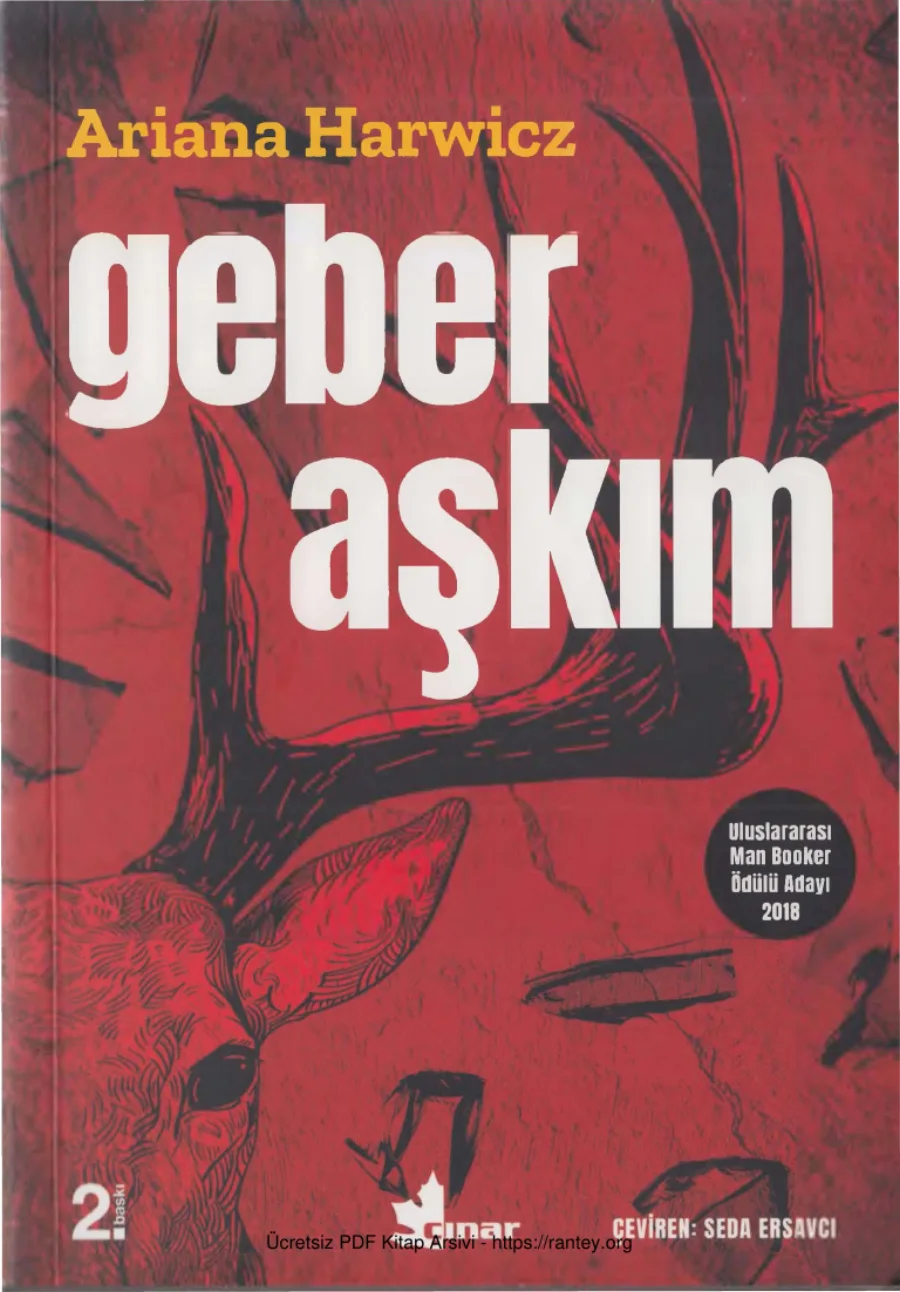 Geber Aşkım kapak görseli