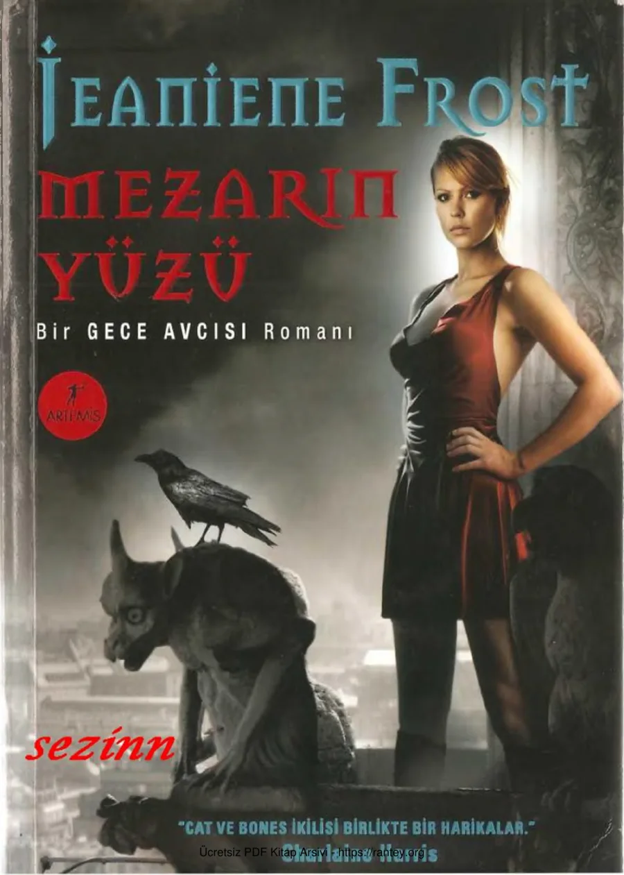 Gece Avcısı 5 Mezarın Yuzu kapak görseli