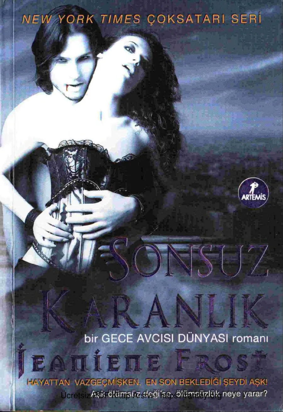 Gece Avcısı Dunyası Serisi 2 Sonsuz Karanlık kapak görseli