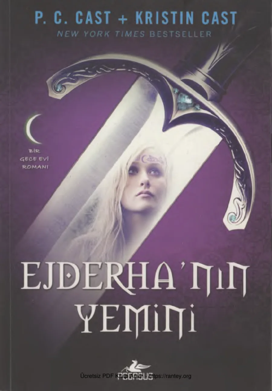 Gece Evi Novellas I Ejderhanın Yemini kapak görseli