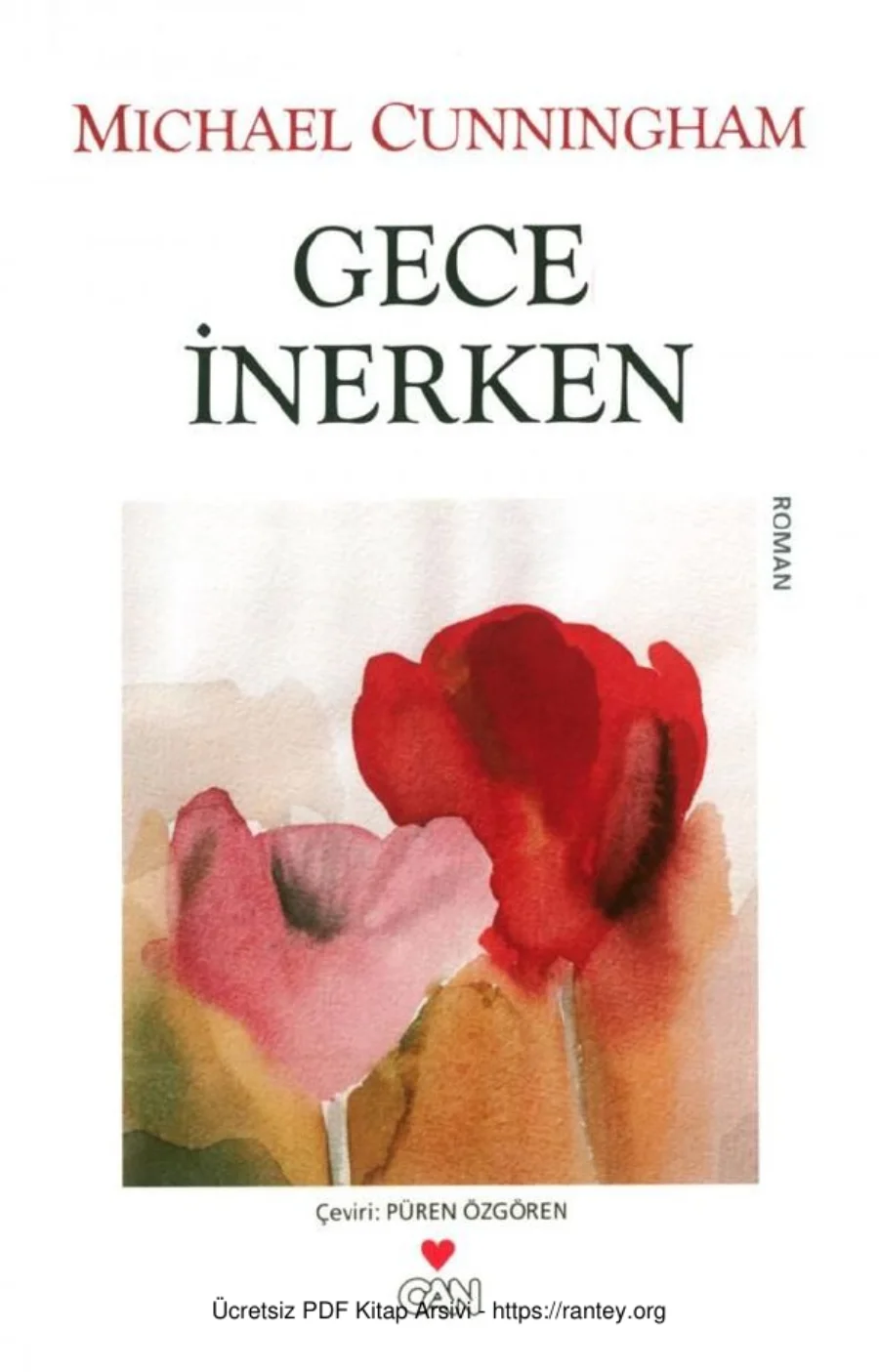 Gece İnerken kapak görseli