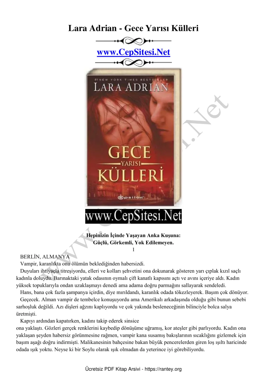 Gece Yarısı Serisi 6 Gece Yarısı Külleri kapak görseli