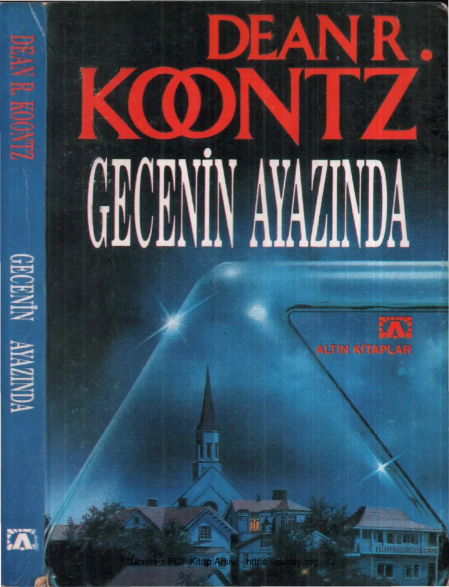 Gecenin Ayazında kapak görseli