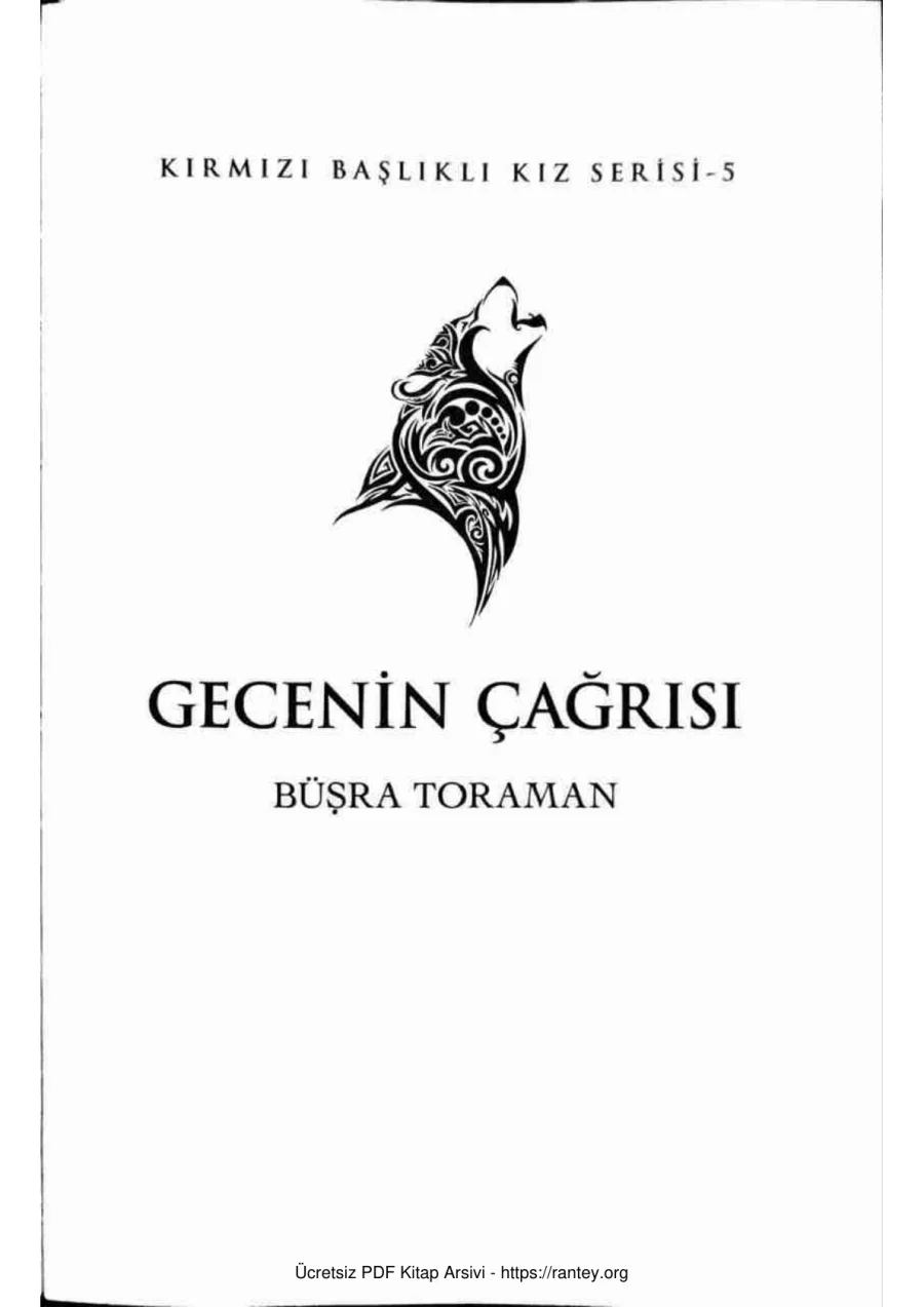 Gecenin Çağrısı kapak görseli