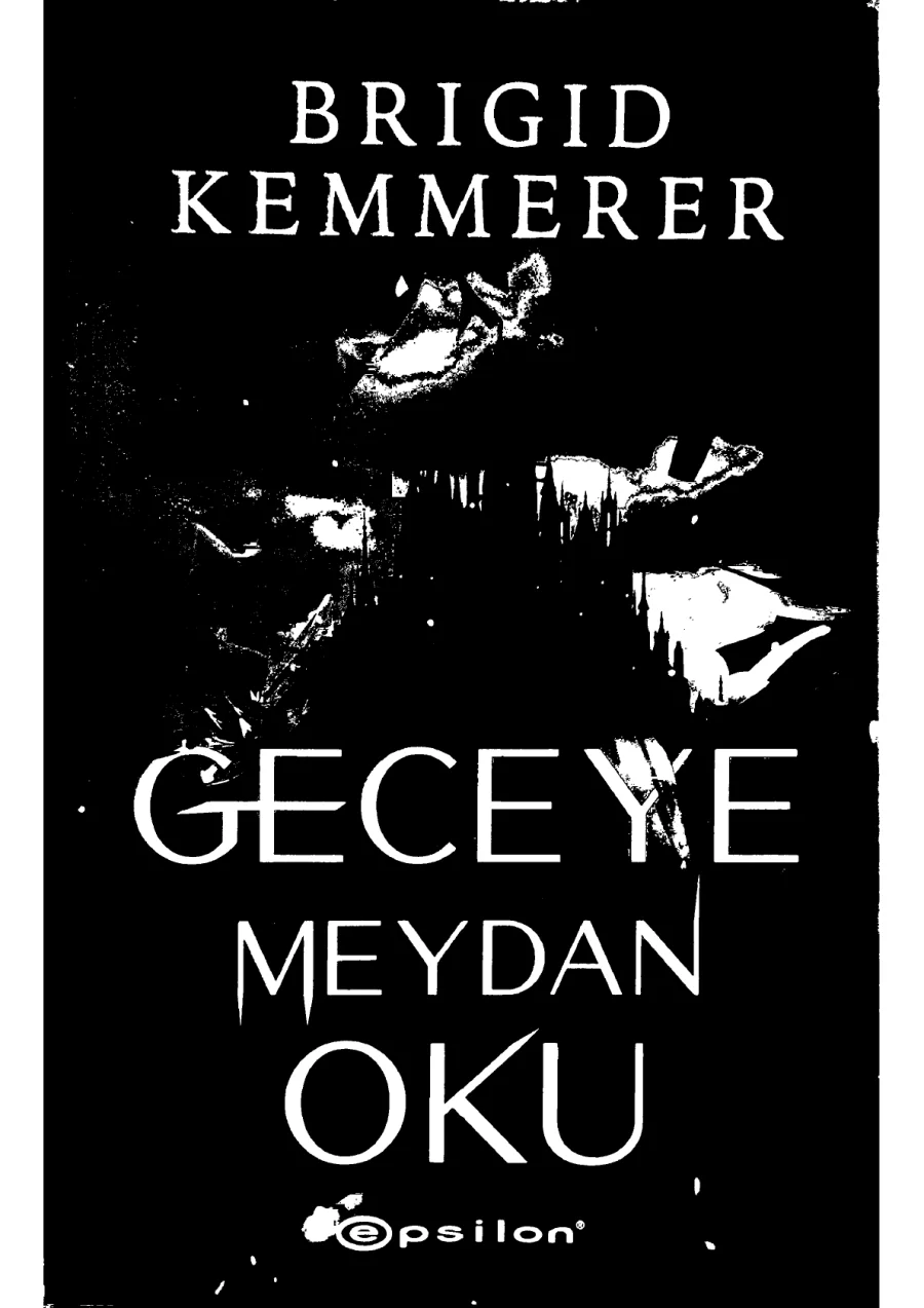 Geceye Meydan Oku kapak görseli