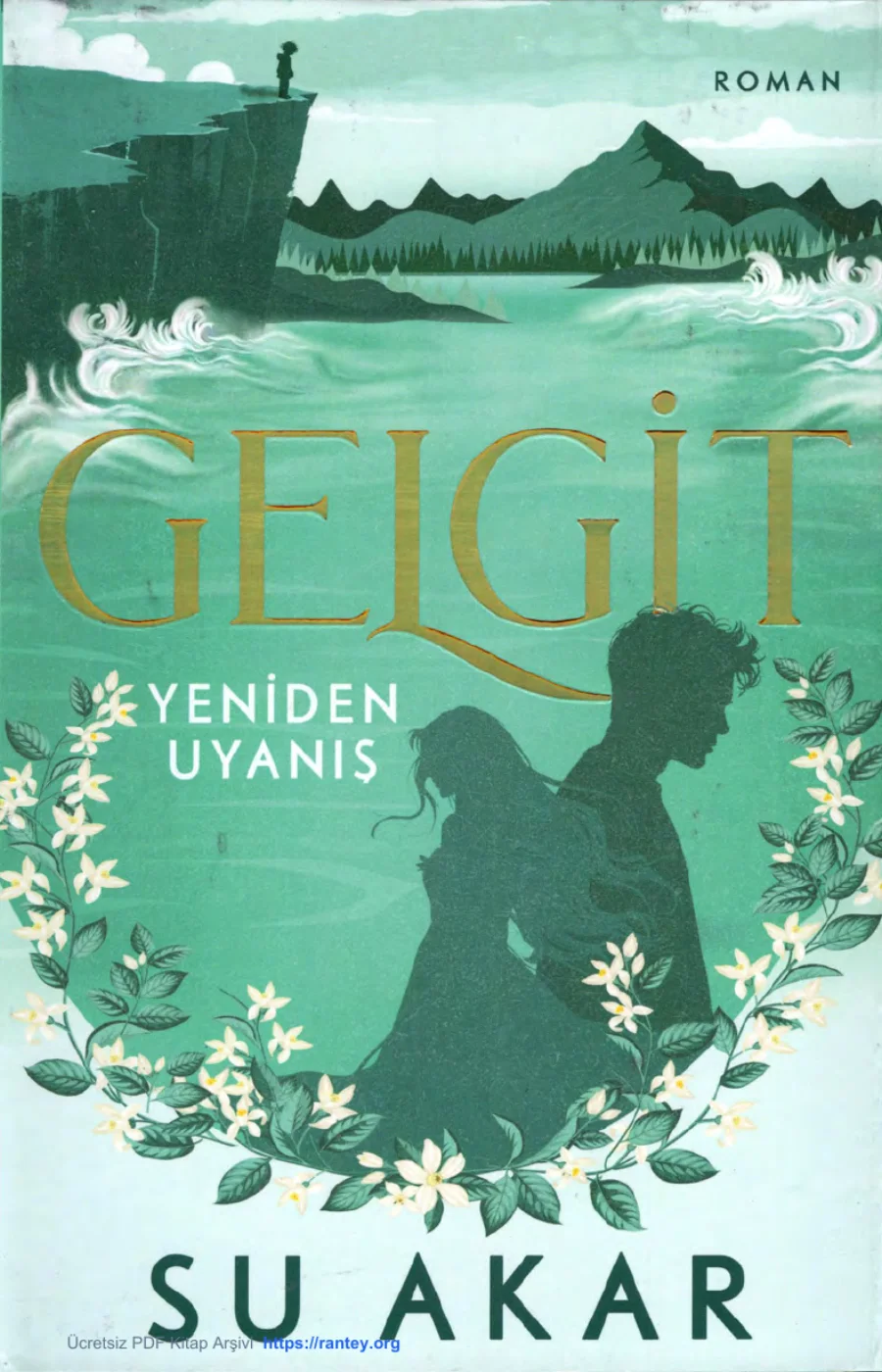 Gelgit: Yeniden Uyanış kapak görseli
