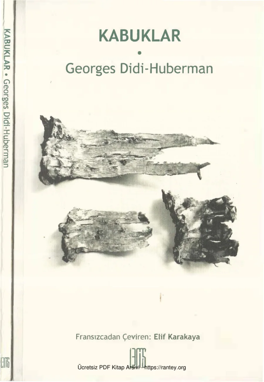 Georges Didi Huberman Kabuklar Telis Yayınları kapak görseli