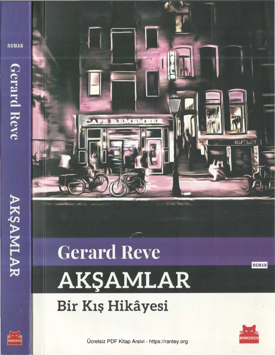 Gerard Reve Akşamlar Bir Kış Hikayesi kapak görseli