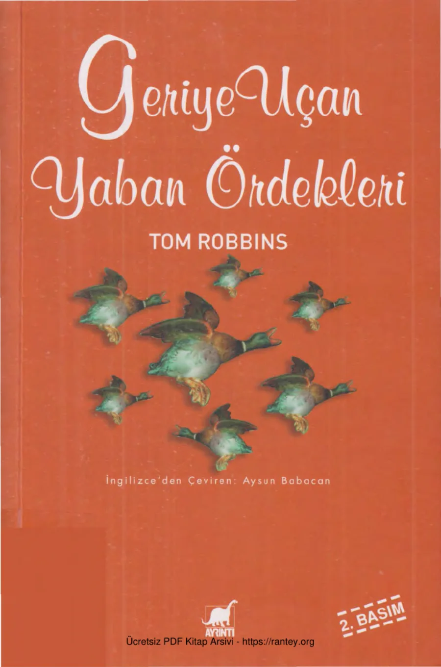 Geriye Uçan Yaban Ördekleri kapak görseli