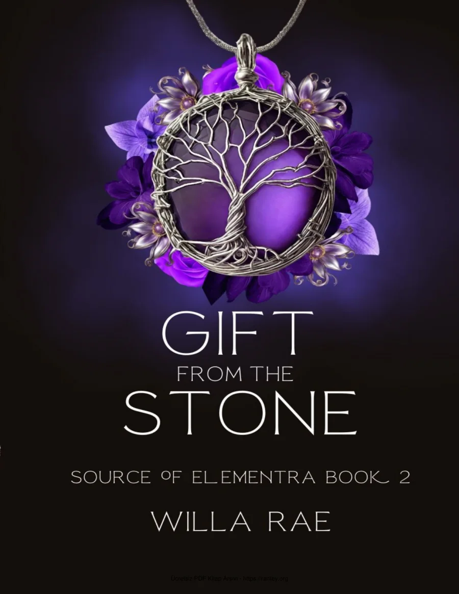 Gift from the Stone kapak görseli