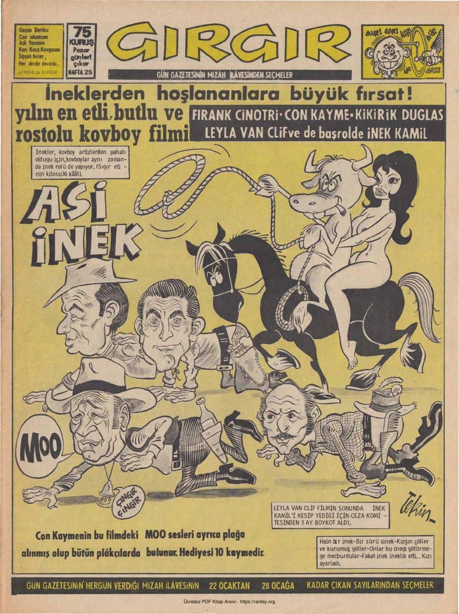 GırGır 1973 Sayı 025 kapak görseli