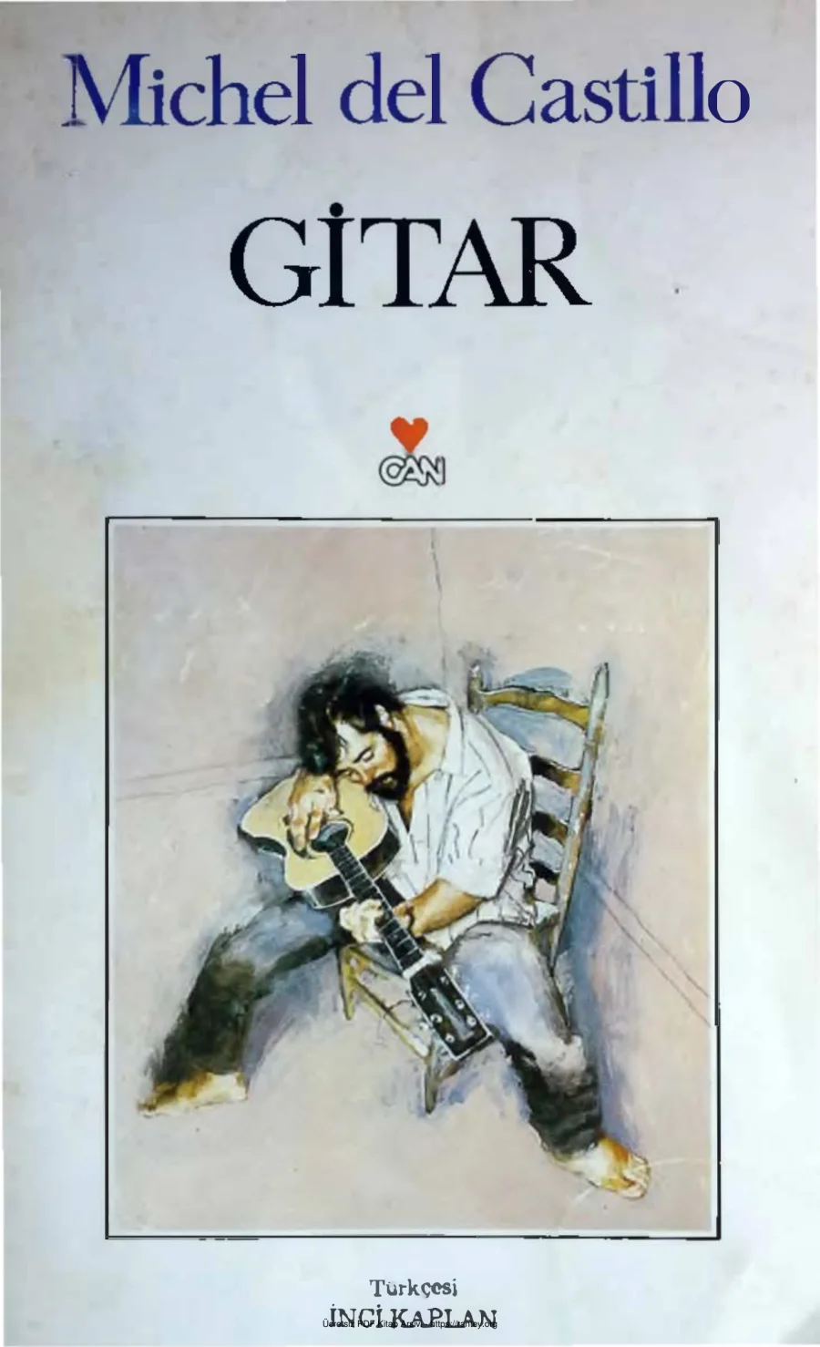 Gitar kapak görseli