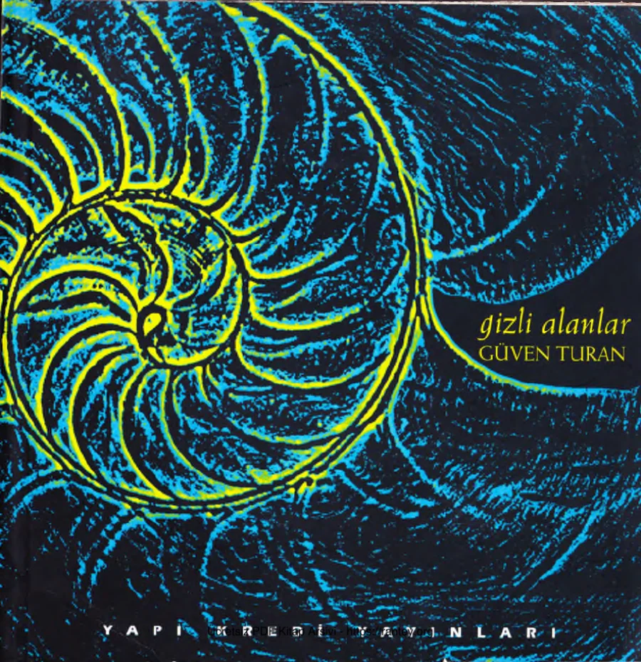 Gizli Alanlar kapak görseli